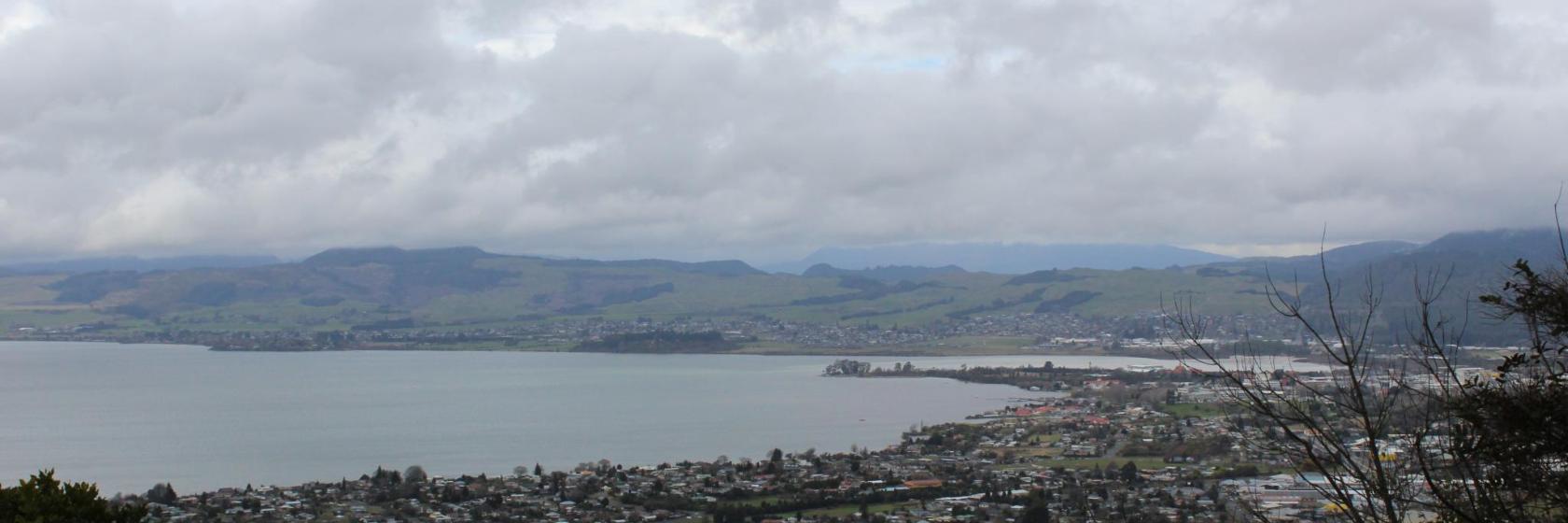 Mount Ngongotaha Reserve